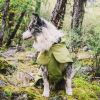 Dog Coats Small Waterproof,Warm Outfit Clothes Dog Jackets Small,Adjustable Drawstring Warm And Cozy Dog Sport Vest-(Green size 2XL)