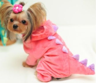 Halloween Dog Clothes Stretch Dinosaur Transformation Costume (Option: Pink-S)