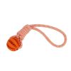 Pet Tooth Cleaning Bite Resistant Toy Ball for Pet Dogs Puppy